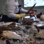 Llotja Palamós peix peixos (7)
