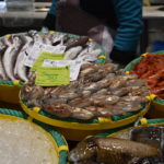 Llotja Palamós peix peixos (9)