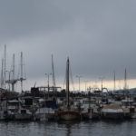 Port Palamós (6)
