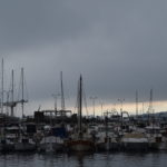 Port Palamós (7)
