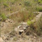 La vil·la romana de Vilarenys es cobrirà totalment Vil·la romana de Vilarenys a Volpelleres