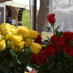 flors sant jordi