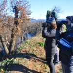 El riu Ter acull 6.000 ocells durant l’hivern El Riu Ter | Imatge del CERM