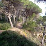 Cicle per descobrir l’entorn de Palafrugell
