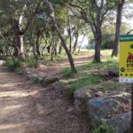 L’ADF Gavarres-Marítima realitza tasques de prevenció d’incendis a la Fosca