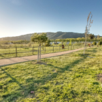 Platja d’Aro aprova un projecte d’ampliació del Parc dels Estanys