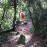 Prop de 350 persones participen a la VI edició de la Marxa Vall dels Molins