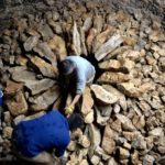 Forallac retrà homenatge als voluntaris de la I Cuita de Calç al Forn Gran d’en Torró de Fonteta amb la projecció d’un documental