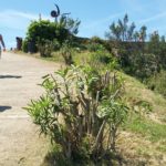 Begur millora l’entorn del Castell