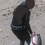 Agents Rurals denuncien un pescador recreatiu per matar una tonyina vermella a Begur