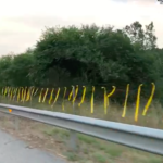 La C-31 es torna a omplir amb 40.000 cintes grogues