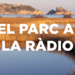 Sabíeu que tenim més de 9mil aus aquàtiques al Parc?