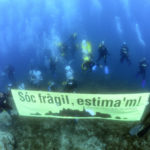 Els Amics de les Illes Formigues tornen a manifestar-se i troben un obús sense detonar