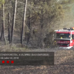 Els Bombers comparteixen un vídeo de l’operatiu desplegat per l’incendi de Vilopriu