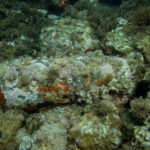 L’Armada detona l’obús de les illes Formigues