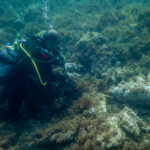 Tanquen l’accés a la zona de l’obús de les illes Formigues