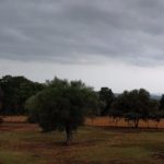 El temporal descarrega amb força al Baix Empordà i deixa acumulacions d’aigua però sense incidències greus