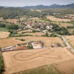 Seguen un llaç pels presos polítics en un camp de la Pera Camp de la Pera on hi ha el llaç pels polítics empresonats | Imatge de Fran Arnau