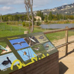 La Festa Major de Platja d’Aro comptarà amb 31 activitats