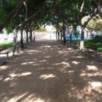 El Baix Empordà recorda l’1 d’octubre