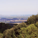 Campanya per fomentar mesures de respecte al bosc durant l’època de recol·lecció de bolets