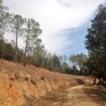 Les ADFs adeqüen el Puig de la Bateria per prevenir grans incendis Puig de la Bateria