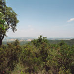 Apareix inconscient el director de l’equip ciclista Trek Segafredo perdut a la carretera de la Ganga