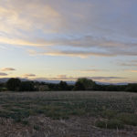 Domini del Sol i temperatures molt suaus o càlides al migdia