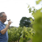 Xavier Albertí: “La verema determina, però mana la demanda”