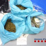 Desmantellat un punt de distribució de marihuana d’un pis okupa a Torroella de Montgrí