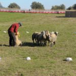 El concurs de Gossos d’Atura de Torroella retrà homenatge a Jordi Muxach