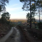 Aprovat el programa d’actuacions del Consorci de les Gavarres 2019 Aplec de Santa Llúcia de l'Arboç