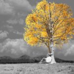 Jordi Molina presenta el seu nou disc aquest divendres a Torroella