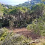 SOS Costa Brava: “El Pla Director és un pas endavant però insuficient”