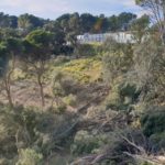 La Generalitat preveu crear una agència per “renaturalitzar” sòls de la costa catalana