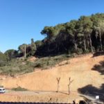 Denuncien la tala d’arbres a Sa Riera, Begur Tala d'arbres a Sa Riera