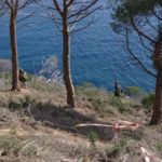 L’urbanisme, tema clau a les eleccions municipals 2019 al Baix Empordà Zona de construcció a Puntabrava a Sant Feliu de Guíxols | Imatge de Guíxols des del Carrer-Entesa