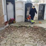 Millores al cementiri de Pals