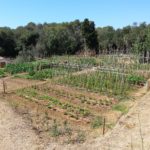 L’Ajuntament de Palamós posa a disposició dels ciutadans 31 parcel·les d’hortes