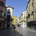 Seguiment massiu de la vaga a la Bisbal