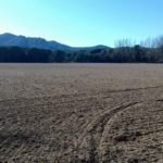 Santa Cristina suspèn el projecte urbanístic de la Riera dels Molinets Zona del projecte urbanístic de la Riera dels Molinets