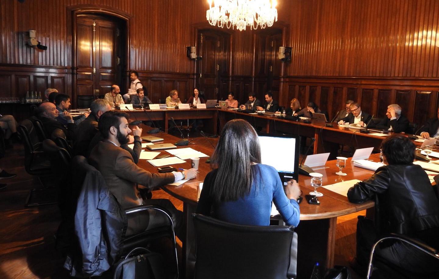 Exposició de les entitats ecologistes al Parlament de Catalunya | Imatge d'Ecologistes en Acció