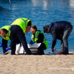 Troben una dona morta surant davant la platja Gran de Palamós Moment de l’aixecament del cadàver a la Platja Gran de Palamós | Imatge de Ràdio Palamós
