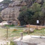 Begur protegeix l’espècie “Stachys maritima” de la platja del Racó