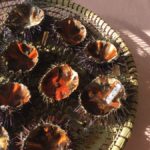 Garoines, festa de Sant Antoni i molta tela marinera: l’agenda d’aquest cap de setmana al Baix Empordà