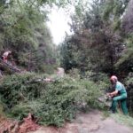 35.000 euros per conservar el Parc Natural del Montgrí, les Illes Medes i el Baix Ter