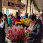 Diada de Sant Jordi 2019 a la Bisbal Diada de Sant Jordi 2019 a la Bisbal d'Empordà - Manel Magrinyà