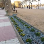 S’instal·len nous parterres al Passeig del Mar de Palamós
