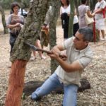 El Ple Municipal de Palafrugell dona suport al sector del suro