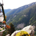 La Flama del Canigó va arribar puntualment a la Bisbal La Flama del Canigó